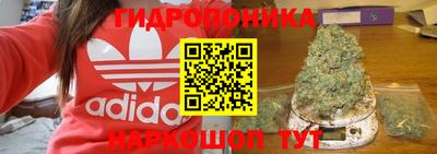 СК Кинель