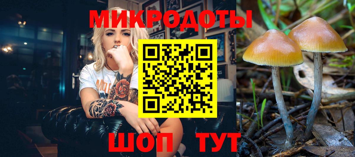 Псилоцибиновые грибы прущие грибы Балашов