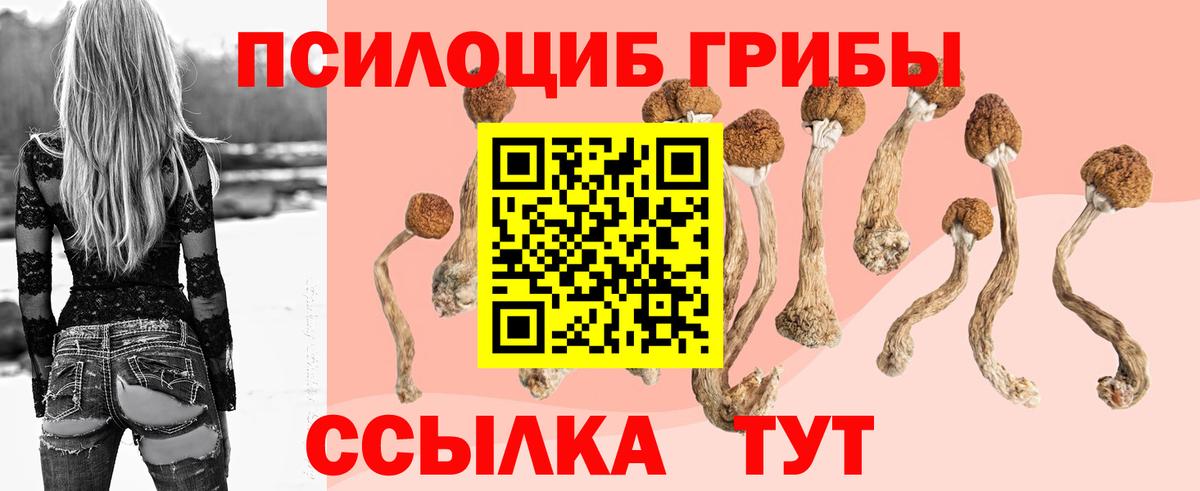 где продают   Псилоцибиновые грибы Magic Shrooms  Вход с VPN  Балашов 